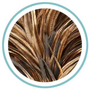 Category: Emu Feathers