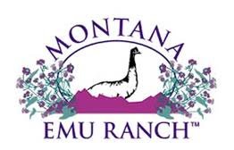 montana-ranch