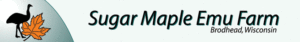 sugar-maple-emu