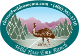 wild-rose-emu_logo