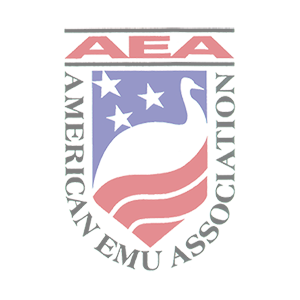 AEA-square_small