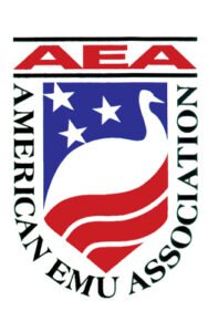AEA Annual Membership
